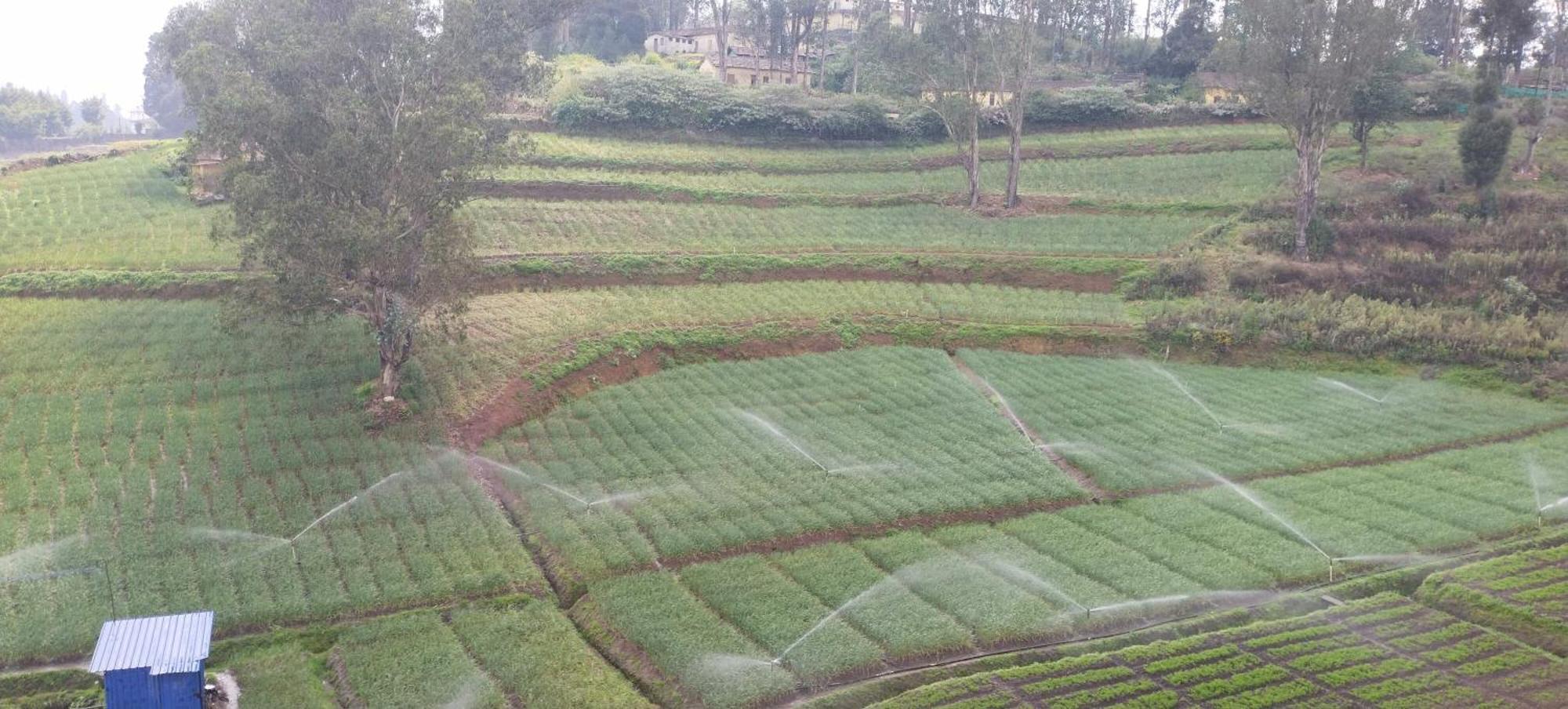 J J Homes Ooty Exterior foto